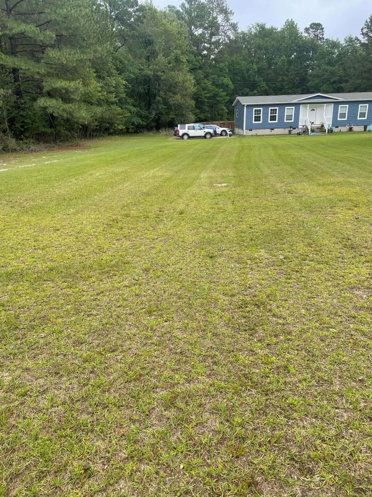 Landscaping for Sparks Landscaping in Augusta, GA