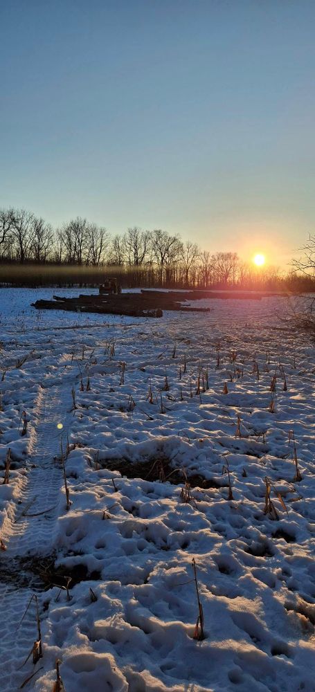 All Photos for God's Country Timber Management in Hillsdale, MI