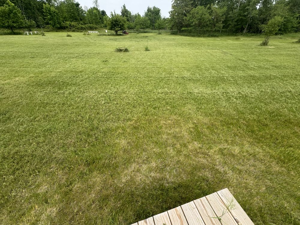 Landscaping Lawn Care for Daugherty's Tough Lawn Care in Essexville, MI
