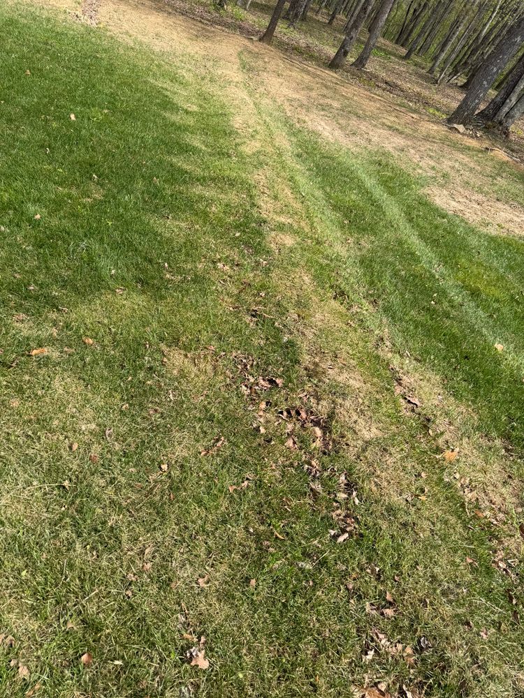 Landscaping for Starnes Hardscapes & Property Management LLC in Dunlap, TN