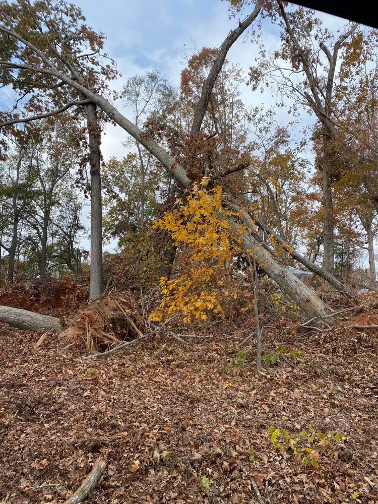 All Photos for HGO Construction & Grading LLC in Spartanburg, SC
