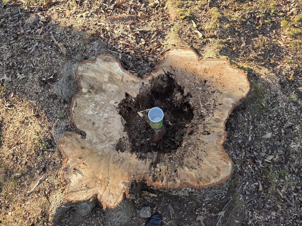 All Photos for Lucky’s Tree Removal and Landscape Services in Knoxville, TN