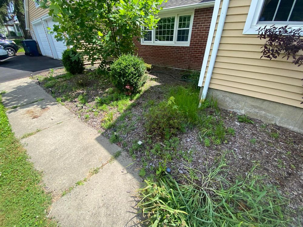 All Photos for Ace Landscaping in Trumbull, CT