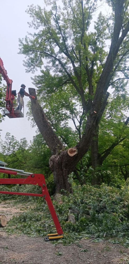 All Photos for Lawn Ranger Yard And Tree Service LLC in Ottumwa, IA