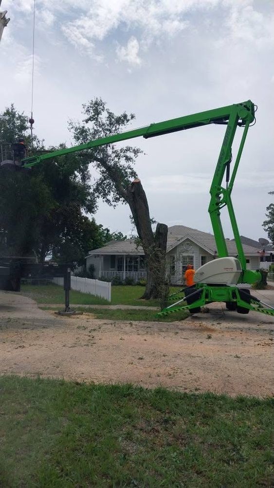 All Photos for Daniel Hickey’s Tree Service in DeLand, FL