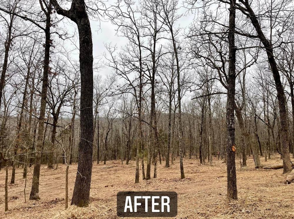 Pasture Reclamation for Bass Land Management in Yellville, AR