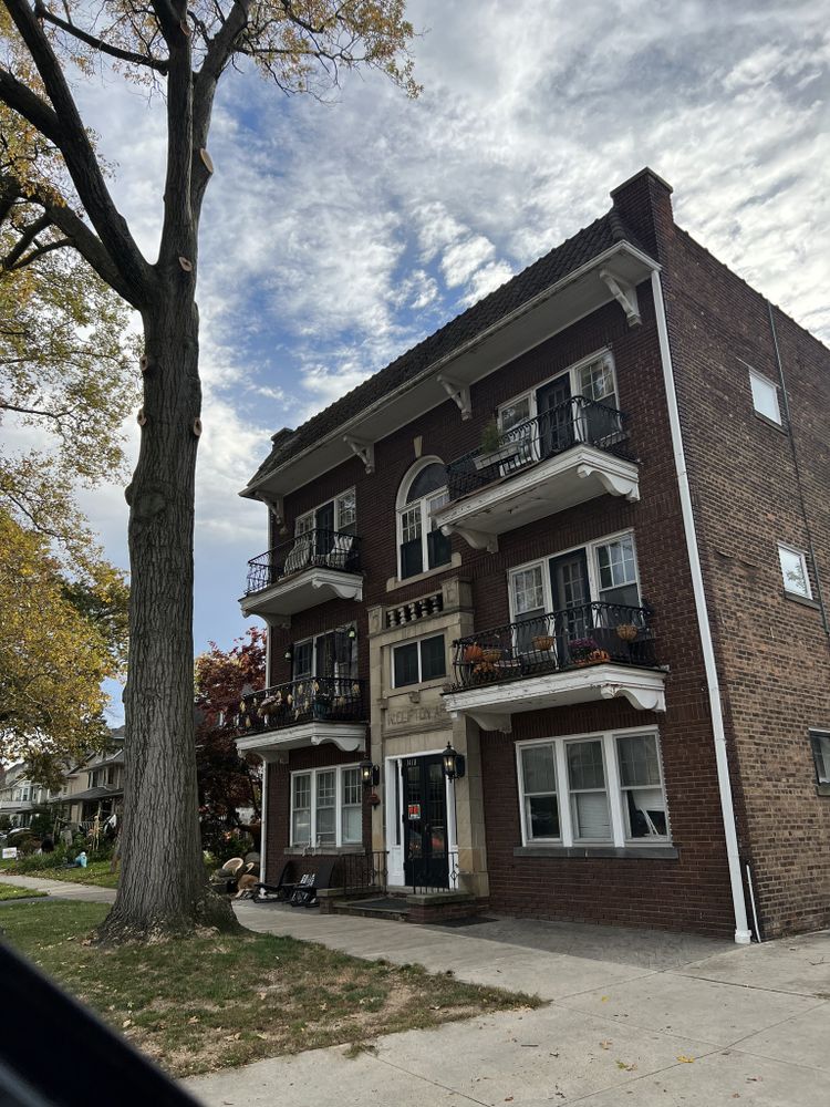 Tree Removal for Down To Earth Tree Service, LLC in Olmsted Falls, OH