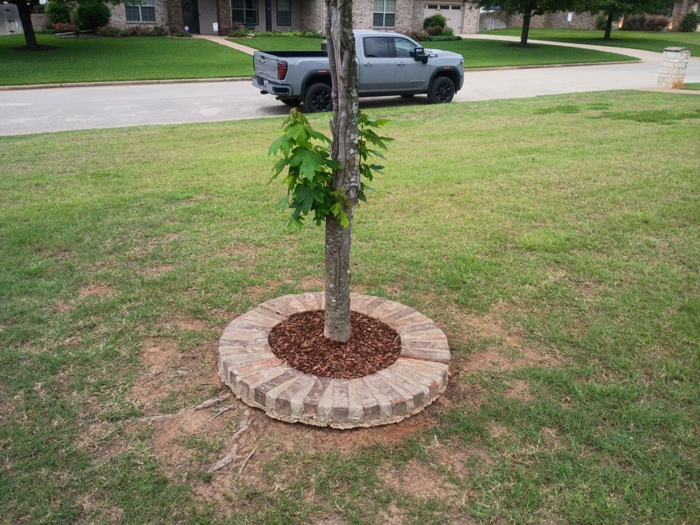 All Photos for Wilson's Yard Work, LLC in Tyler, TX