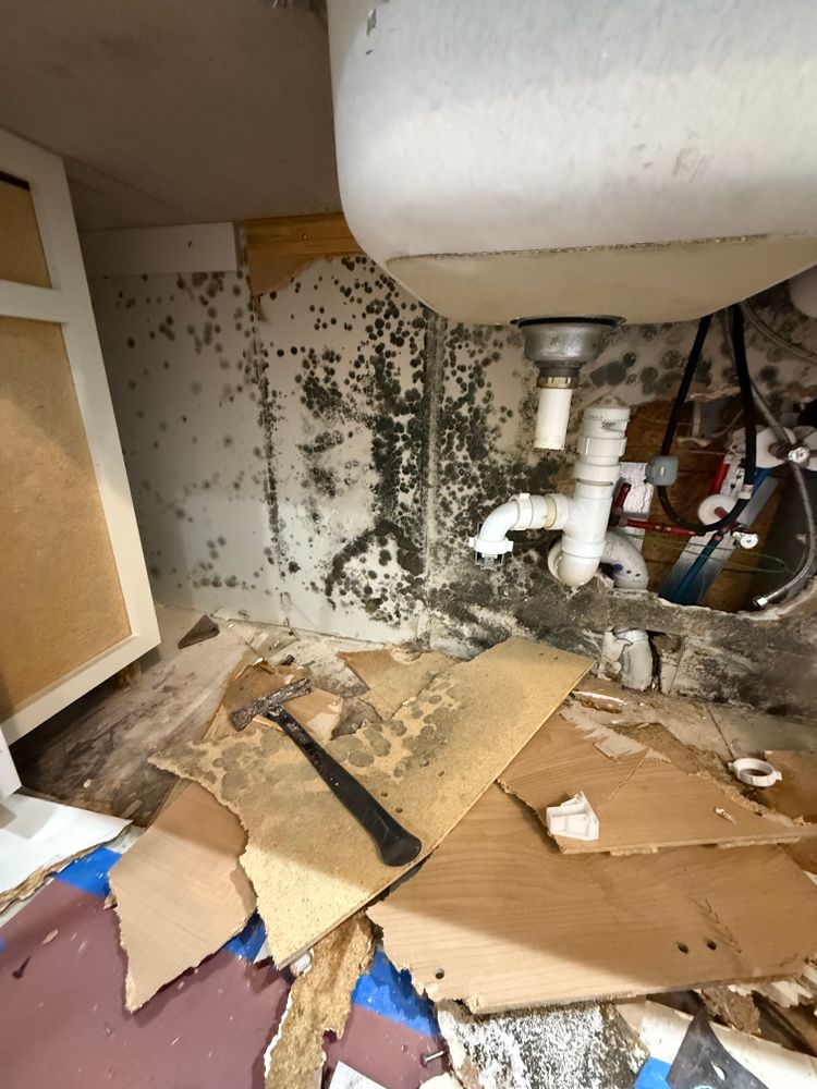 All Photos for N&D Restoration Services When Disaster Attacks, We Come In in Cape Coral,  FL