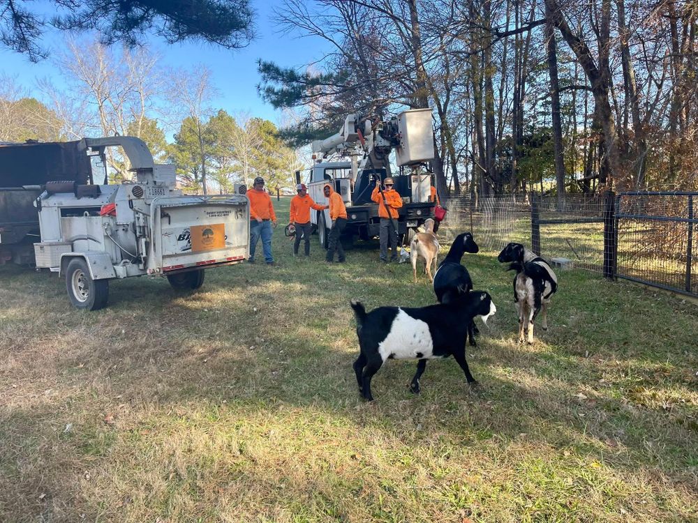 All Photos for Ross Family Tree Service LLC  in Hohenwald, TN