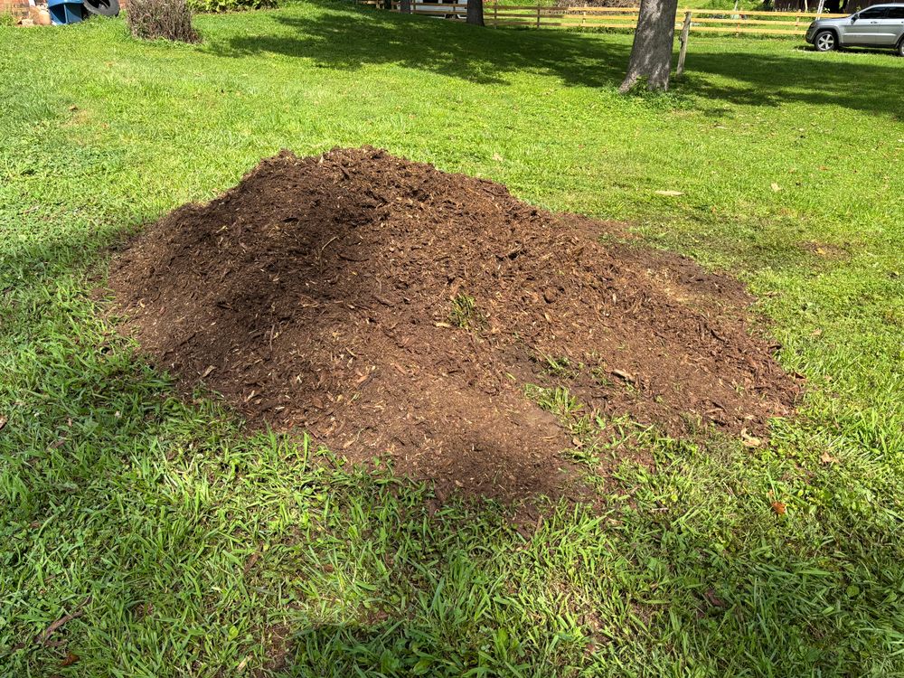 All Photos for Conrad's Stump Removal in Columbus, IN