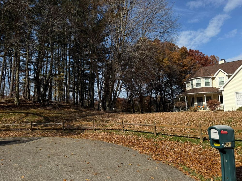 All Photos for Tactical Stripes Lawn care in Uniontown, OH