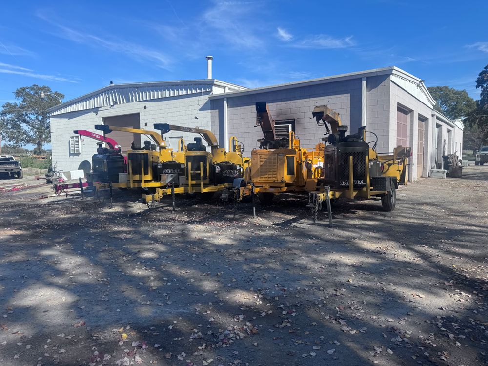 All Photos for Lamb Brothers Clearing in Murray, KY