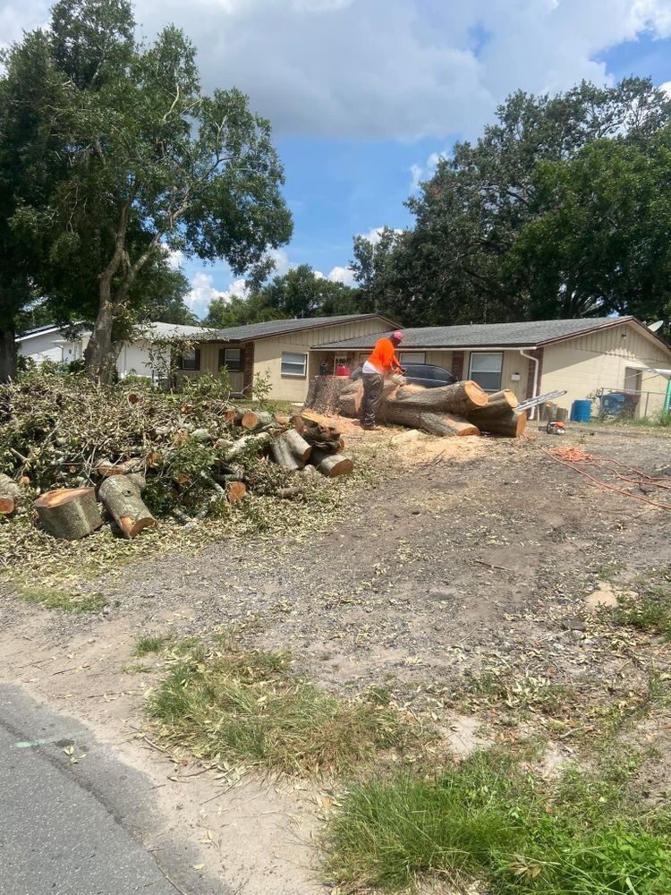 Fall and Spring Clean Up for Efficient and Reliable Tree Service in Lake Wales, FL