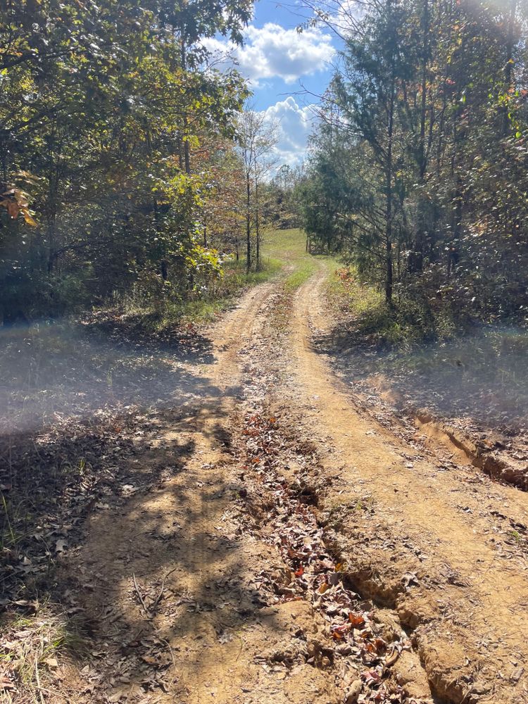 All Photos for Polasini Land Development in Starkville, MS