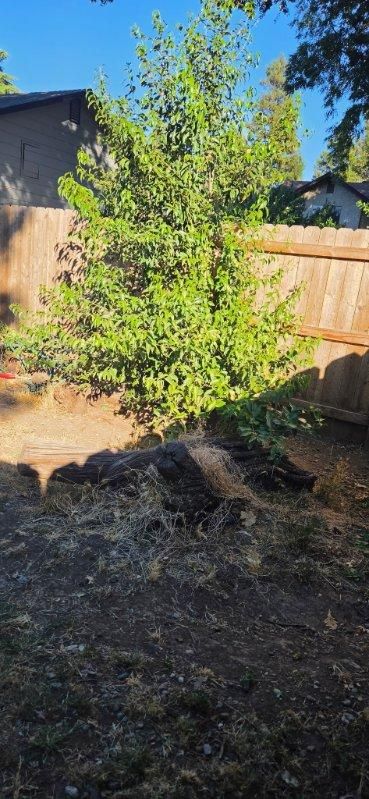 All Photos for Logan's Dump Run in Chico, CA