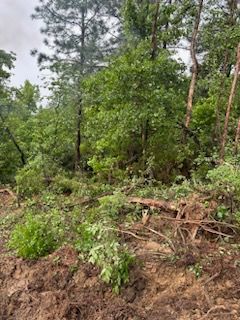 All Photos for A.P Land Management in Atlanta, Ga