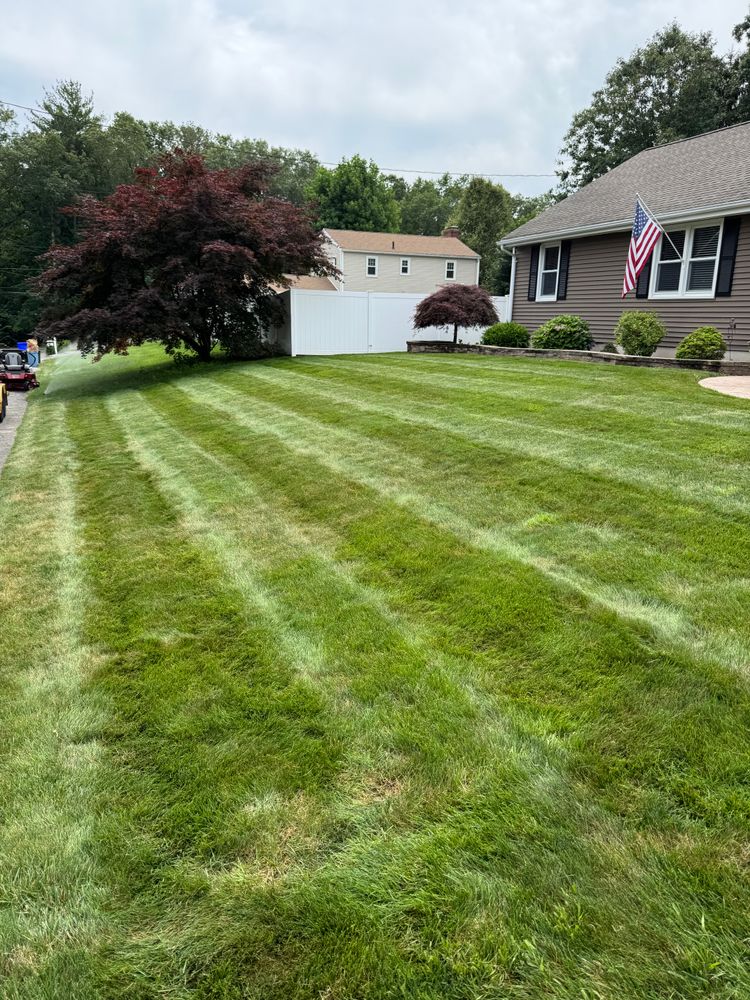 All Photos for Adams Landscaping in Springfield, MA