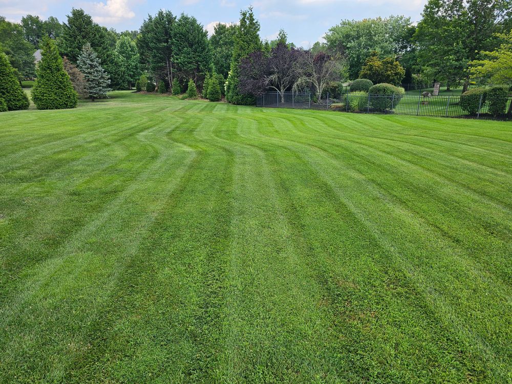 All Photos for DBs Lawn Care in Westampton Township, New Jersey