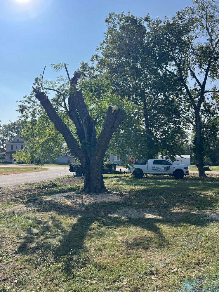 All Photos for Baker Professional Services LLC in Shelbina, MO