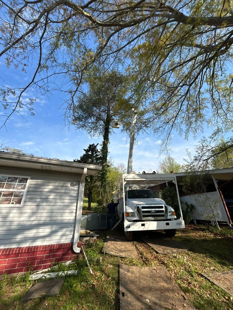 All Photos for Chipper's Tree Service  in Fort Payne, AL