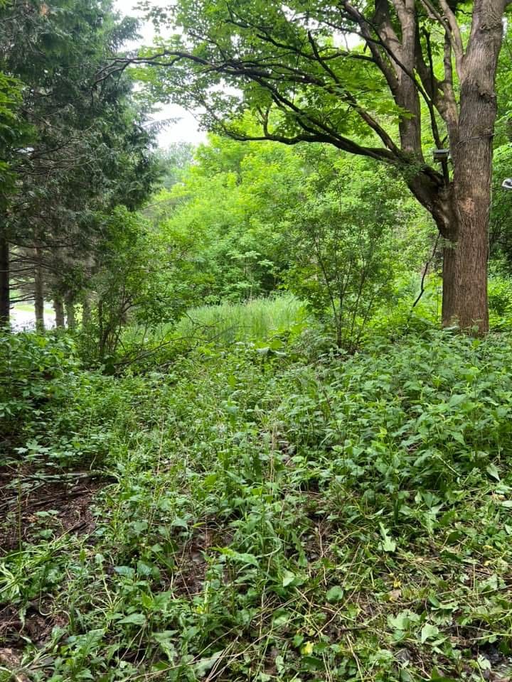 All Photos for Bishop’s Property Maintenance in Franklin, VT