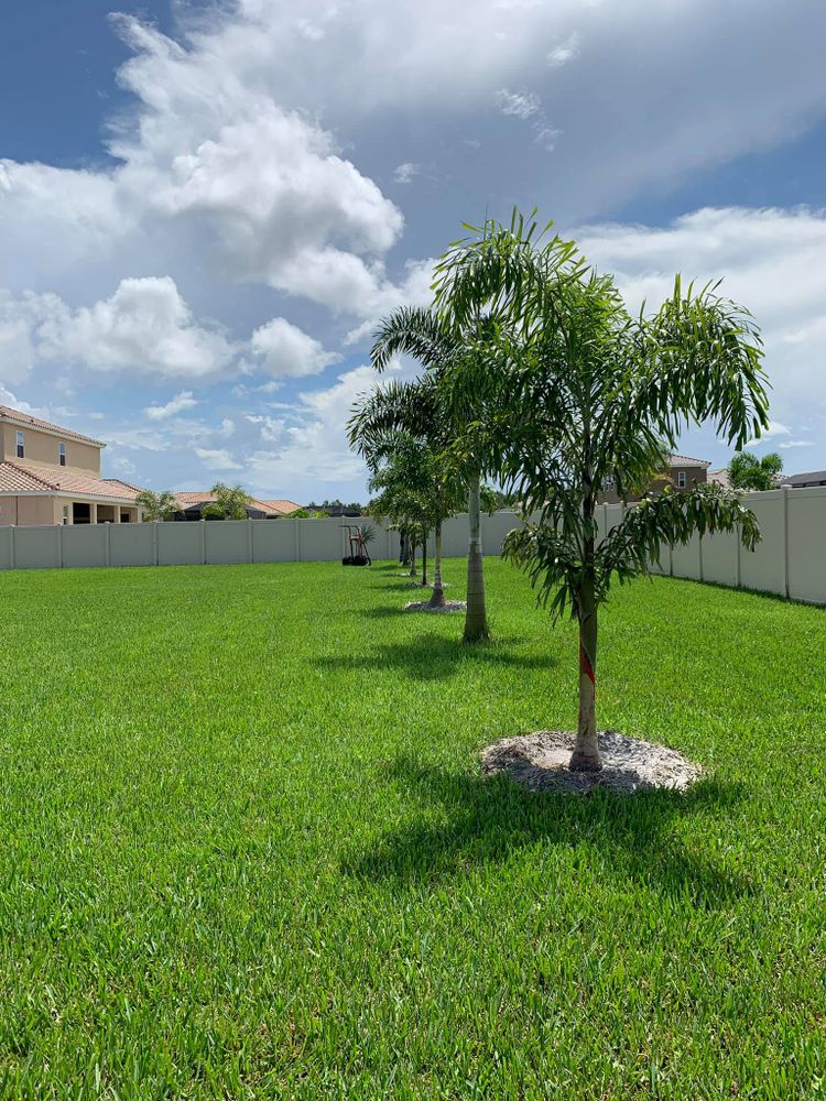 Landscaping for Plant World LLC in Cape Coral, FL
