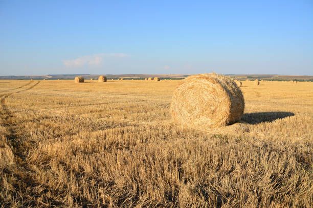 Our Compactor Install and Repair service ensures efficient waste management with professional installation, timely repairs, and maintenance for durable performance—enhancing your home's functionality while promoting a cleaner environment. for SSC All Trade Solutions in Windham, NH