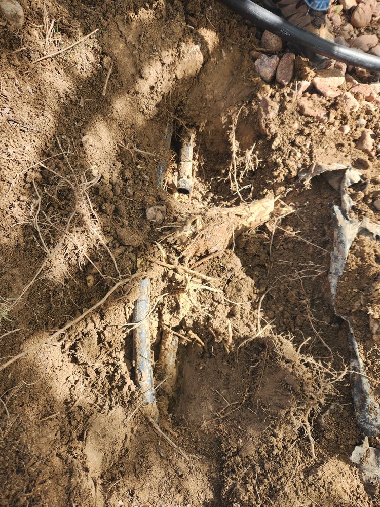All Photos for CDM Sprinkler in Pueblo County, CO