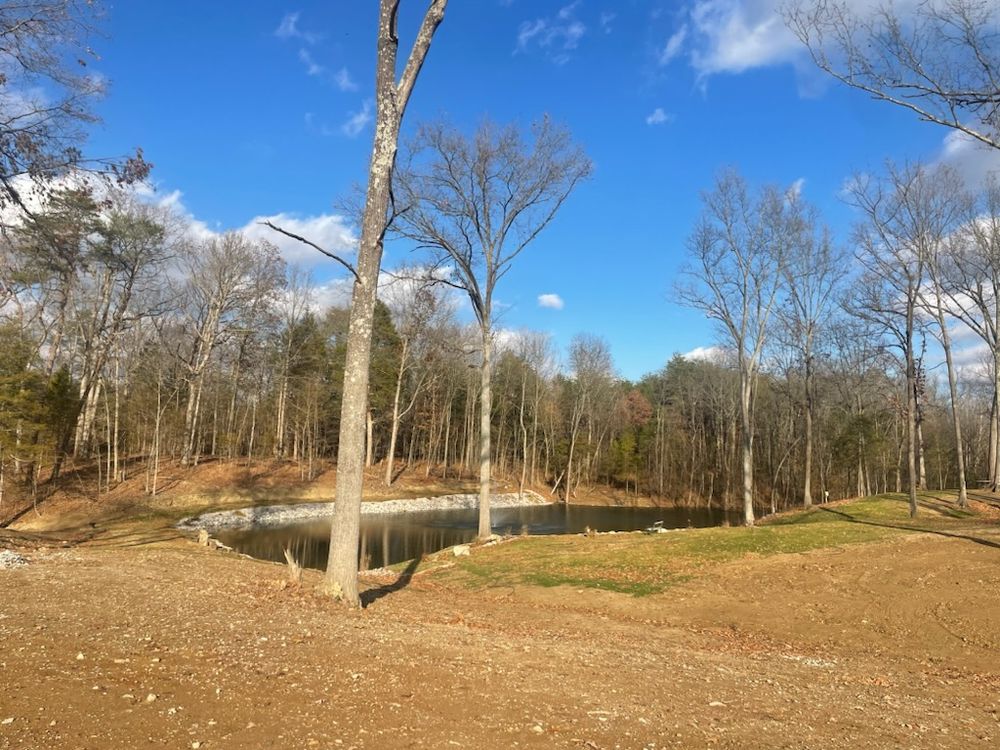 Discover what is land clearing: our professional service removes trees, brush, and debris efficiently to prepare your property for construction or landscaping, ensuring a clean slate for your next project. for Danny Rhodes Trucking & Excavation in Shepherdsville, KY