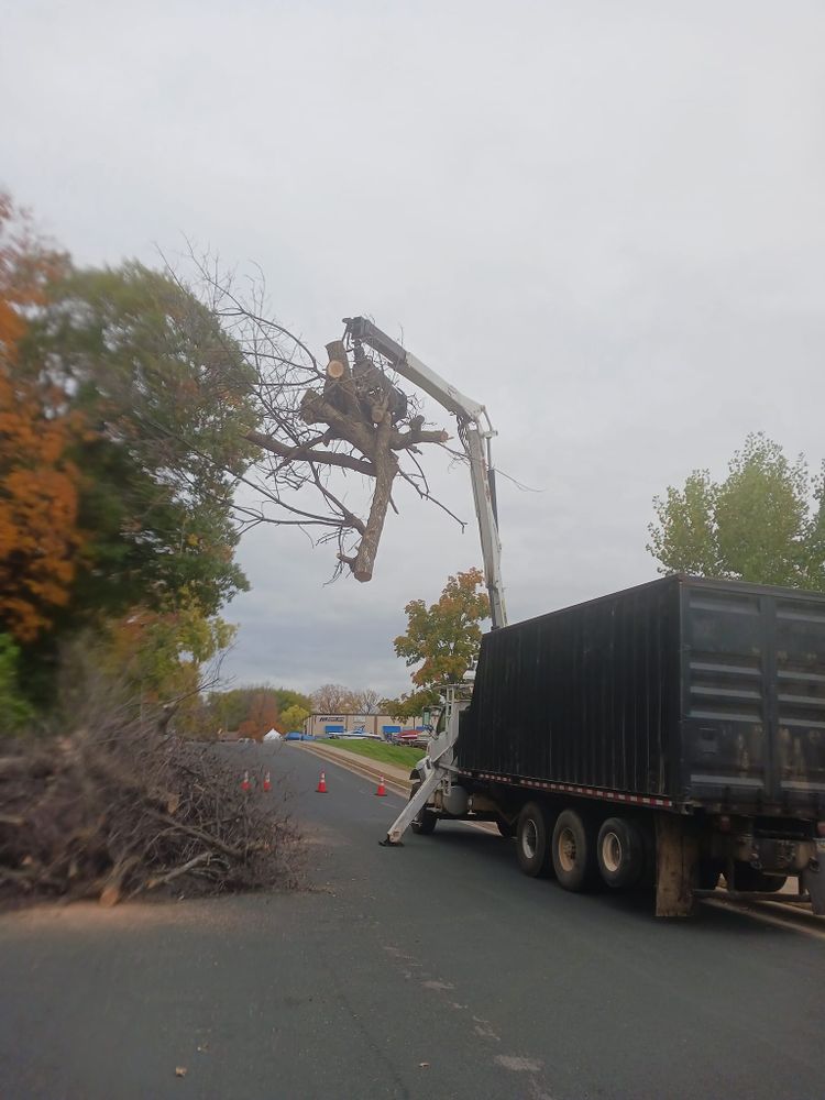 All Photos for Buffalo Family Tree Care in Buffalo, MN