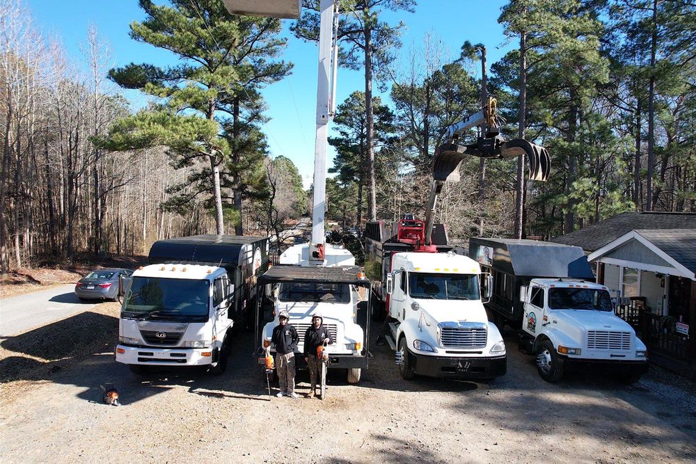All Photos for AB Tree Service in Raleigh, NC