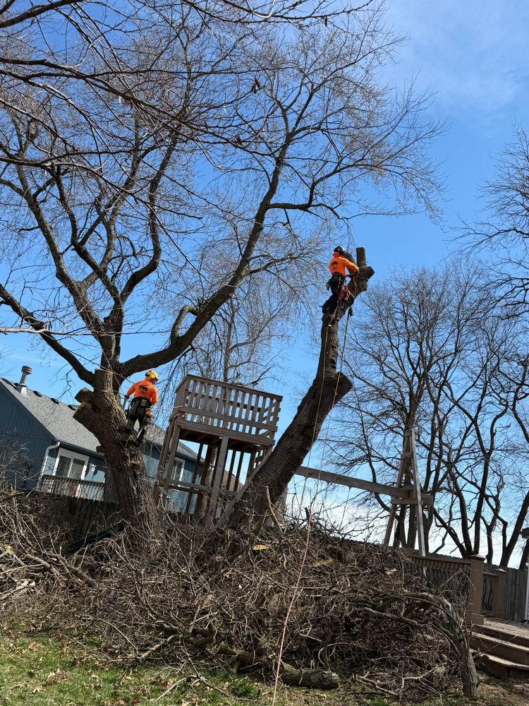 All Photos for Cross Family Tree Service in Kearney, MO