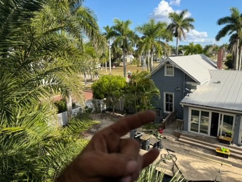 All Photos for Alpha Trees Service and Property Management in Port Charlotte, FL