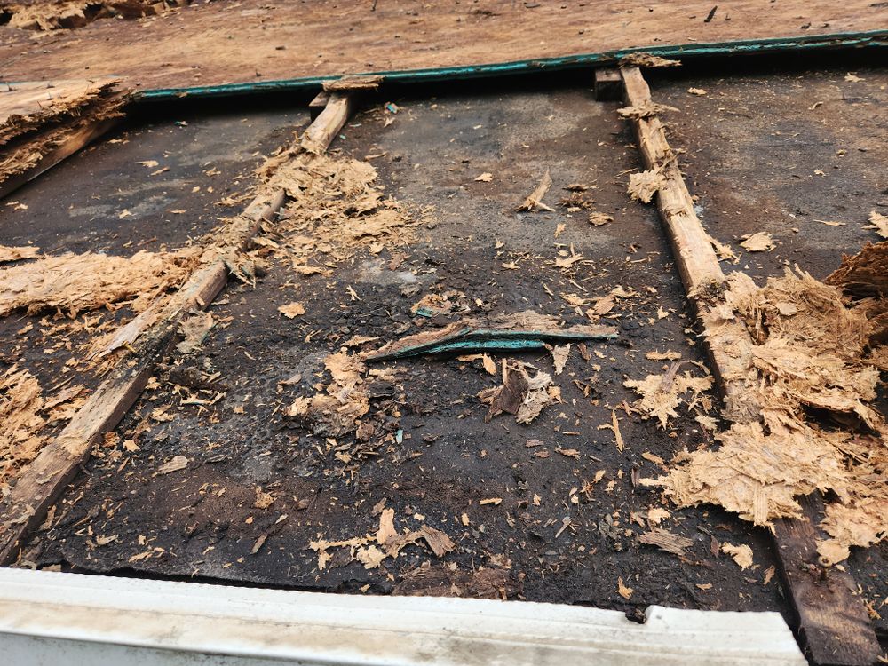 All Photos for Southern Atlantic NC in Concord, NC