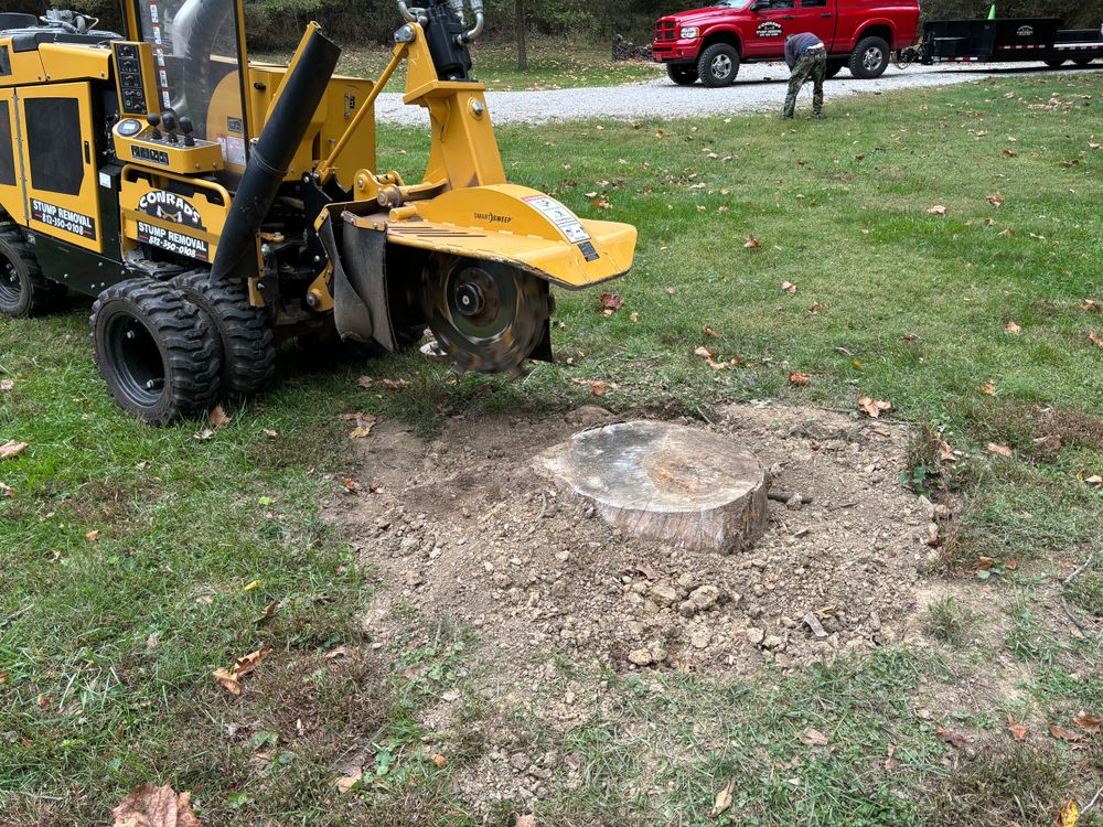 All Photos for Conrad's Stump Removal in Columbus, IN