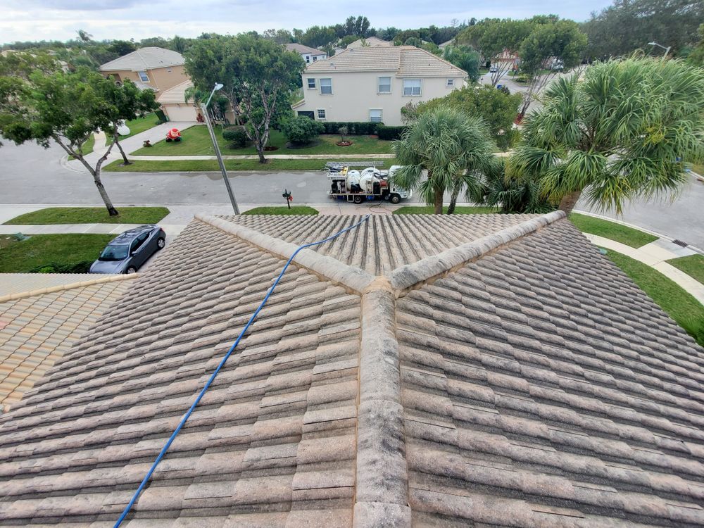 All Photos for Zero Pressure Roof Cleaning INC in West Palm Beach, FL