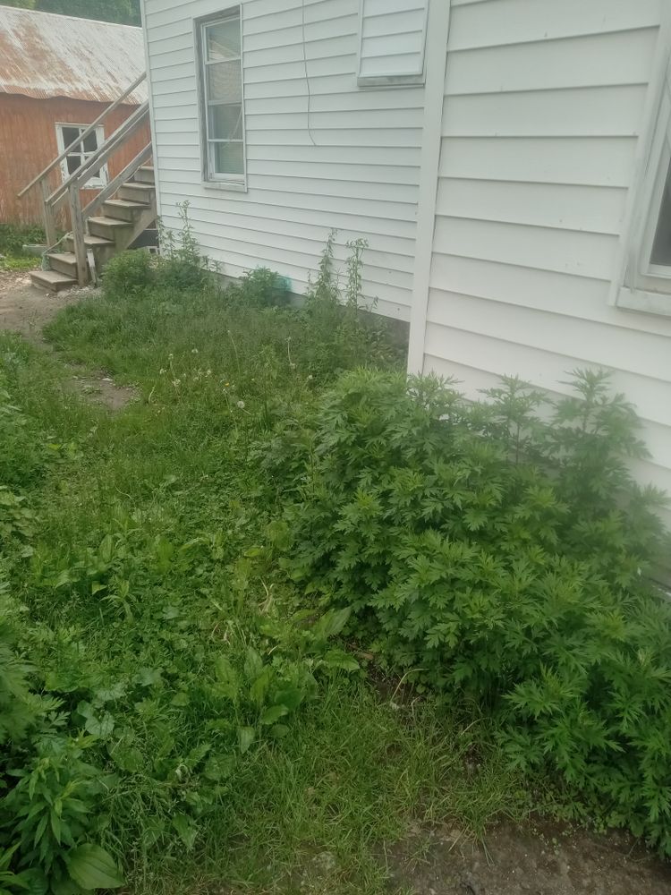 All Photos for K Brown's Property Maintenance in Pittsfield, MA