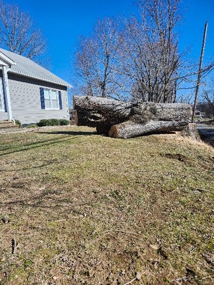 All Photos for Curtis Tree Service LLC in Hopkins County, KY