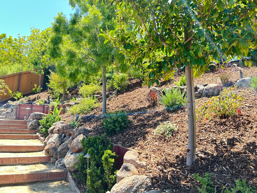 All Photos for LEBEC, Inc in Brentwood, CA