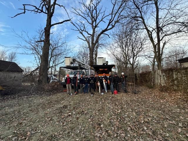 All Photos for Williams Tree Service LLC in Indianapolis, IN