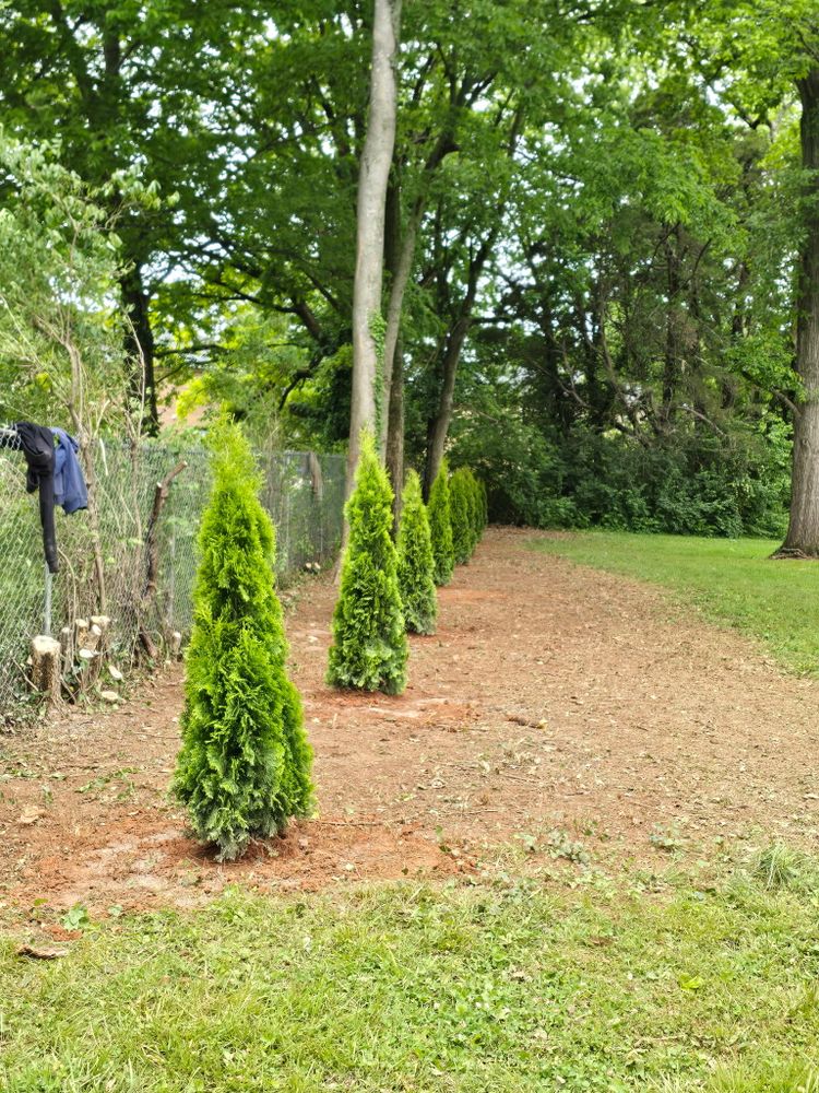 All Photos for Optimum Tree Service And Landscaping in Bowling Green, KY