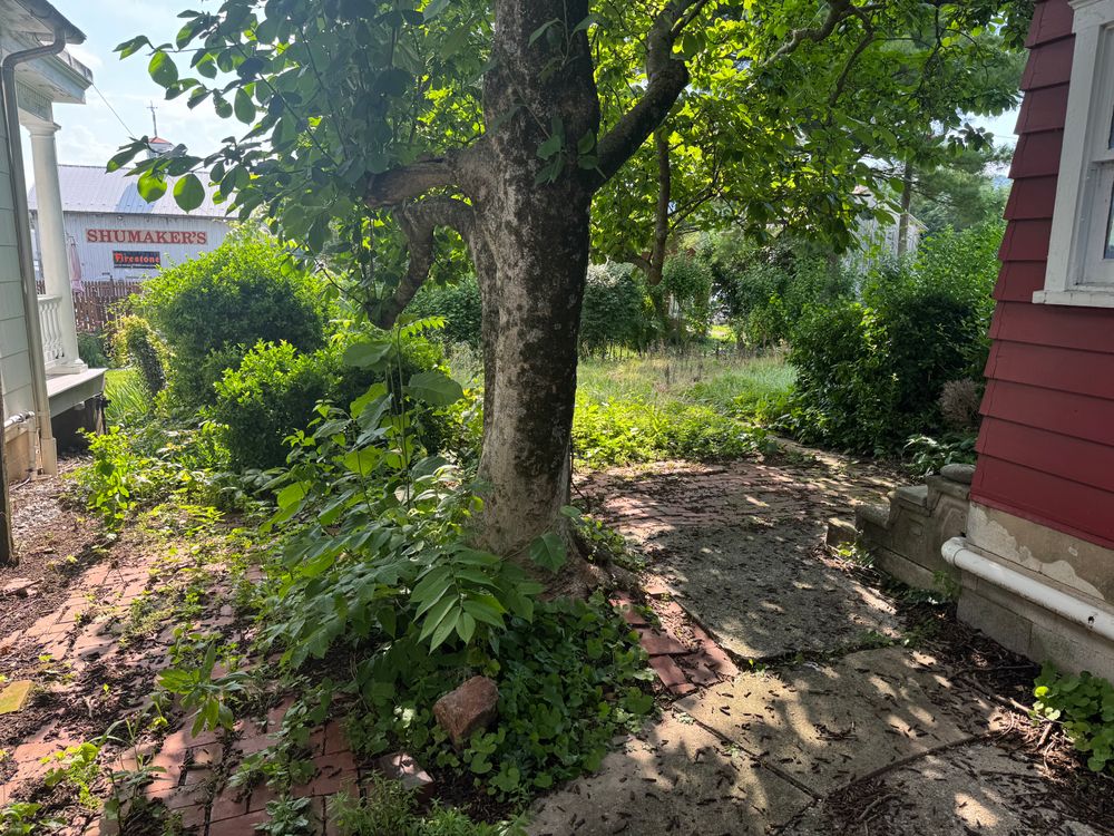 All Photos for Dunn-Rite Landscaping in New Oxford, PA