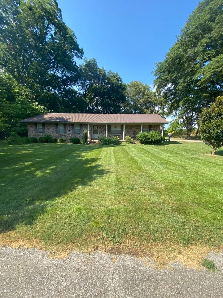 Lawn Care for Apex Lawn & Landscaping INC in Dyersburg, TN