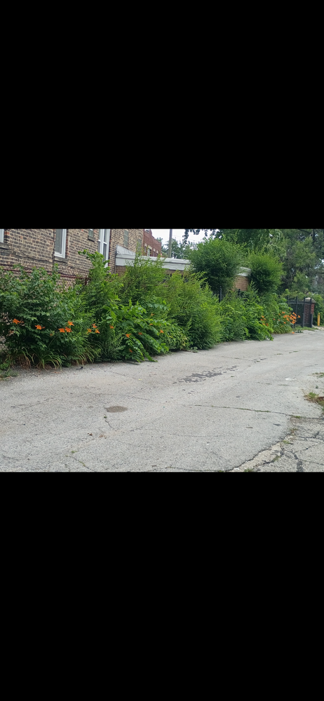 All Photos for Superior Lawn Care & Snow Removal LLC  in Chicago, IL