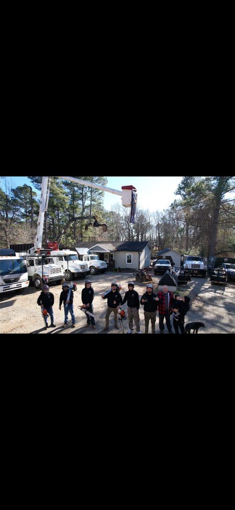 All Photos for AB Tree Service in Raleigh, NC