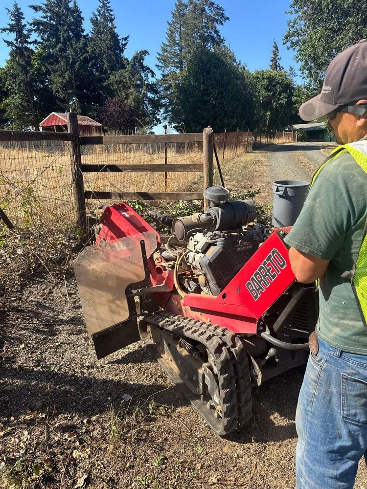 All Photos for Willamette Landscaping and Tree Services in Albany, OR