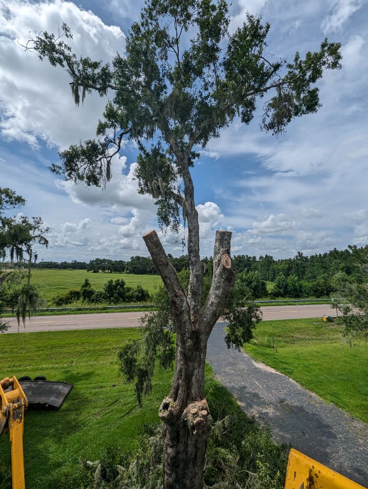 All Photos for Regal Tree Service and Stump Grinding in Wauchula, FL