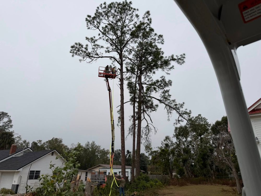 Our Tree Removal service safely removes hazardous, damaged, or unwanted trees from your property using professional equipment and skilled crews, helping protect your home while preparing your land for clearing. for Hunters Development Services in Jasper, FL