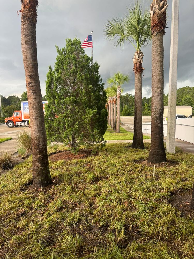 All Photos for Jacksonville Outdoors in Jacksonville, FL